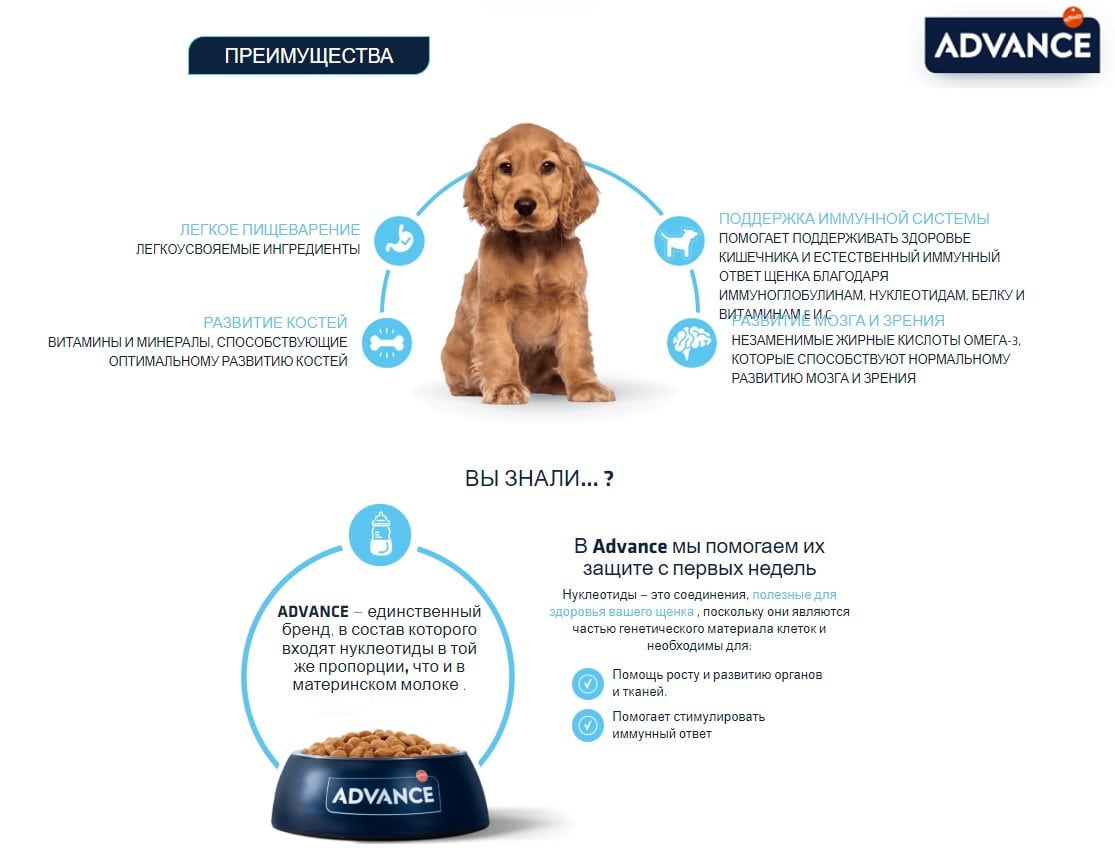 Пища для щенков средних пород Сухой корм для щенков средних пород Advance Dog Puppy Medium (курица)