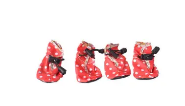 Ботинки для собак (демисезон)