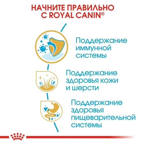 Еда для щенка Сухой корм для щенков Royal Canin Golden Retriever Puppy