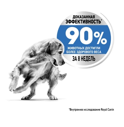 Еда для собак Сухой корм для собак Royal Canin Maxi Light Weight Care