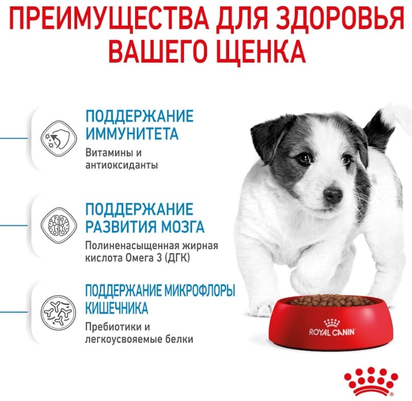 Еда для щенков Сухой корм для щенков Royal Canin Mini Puppy