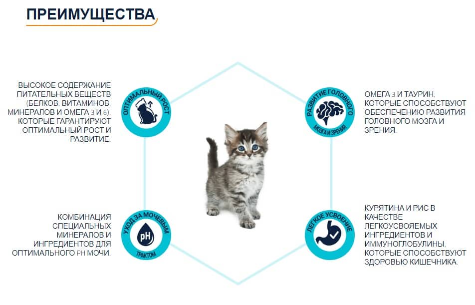 Пища для котят Сухой корм для котят Advance Kitten (2-12 месяцев)