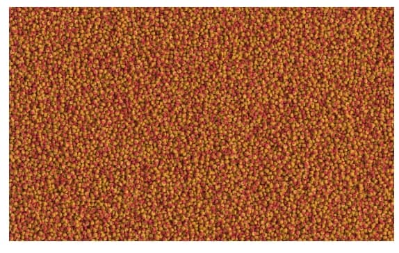 Корм для аквариумных рыбок Tetra Cichlid Colour Mini