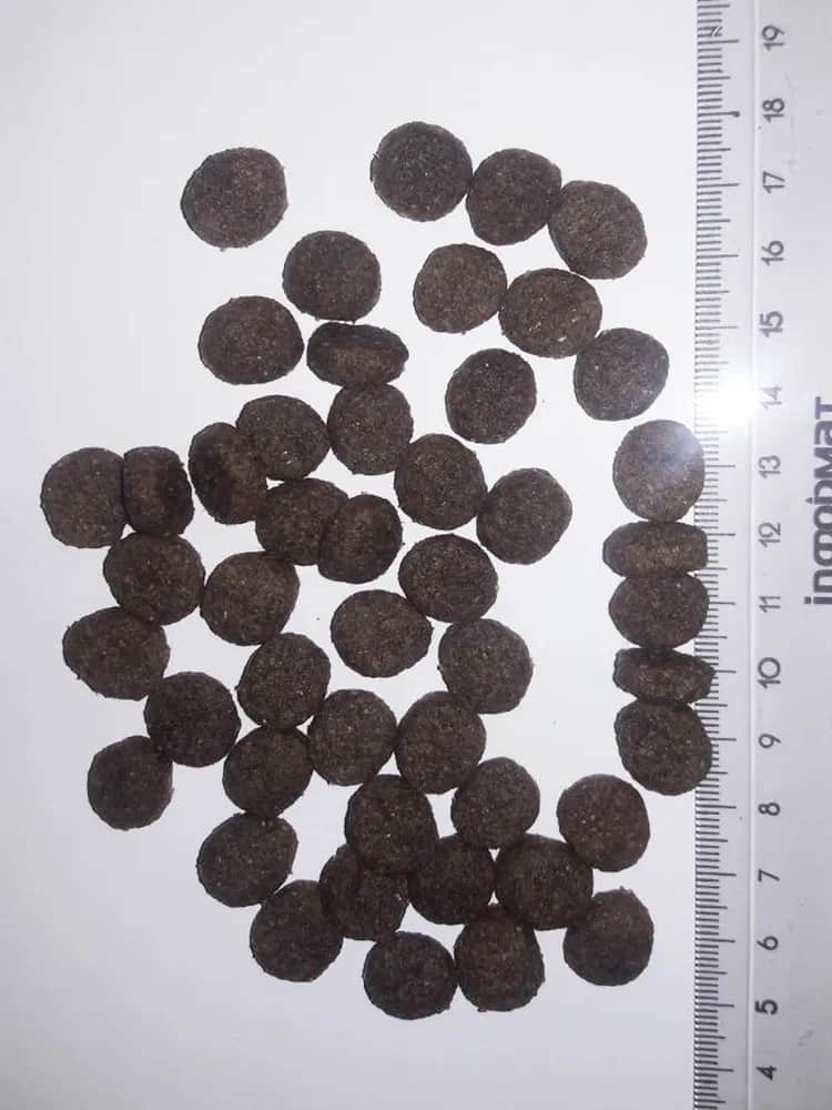 Еда для собак MamyNAT Dog Energy (свинина, курица, говядина)