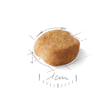 Еда для собак Сухой корм для собак Royal Canin Yorkshire Terrier