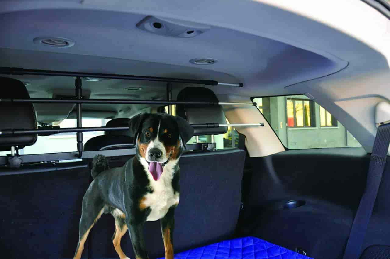 Решетка в багажник авто (CW101)