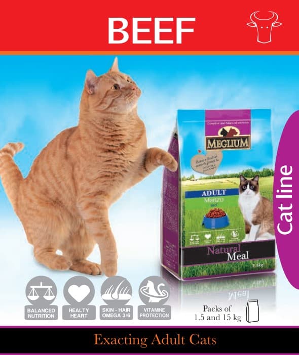 Пища для кота Сухой корм для кошек Meglium Adult Cat (говядина)