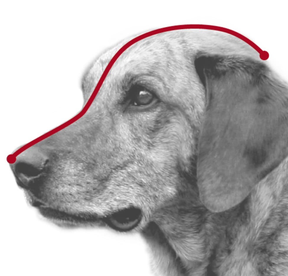 фото Намордник пластиковый TRIXIE