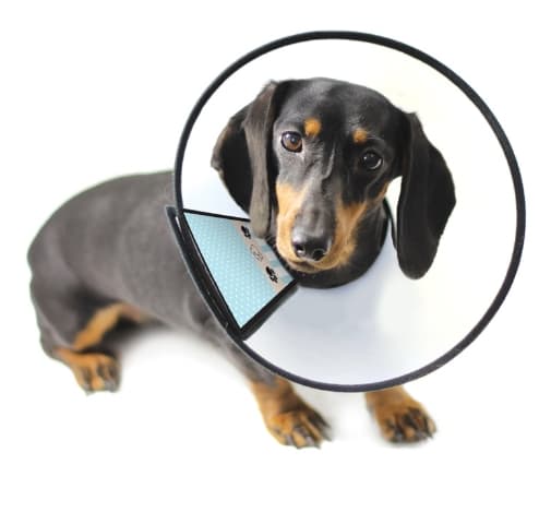 Защитный воротник для кошек и собак пластиковый конус 