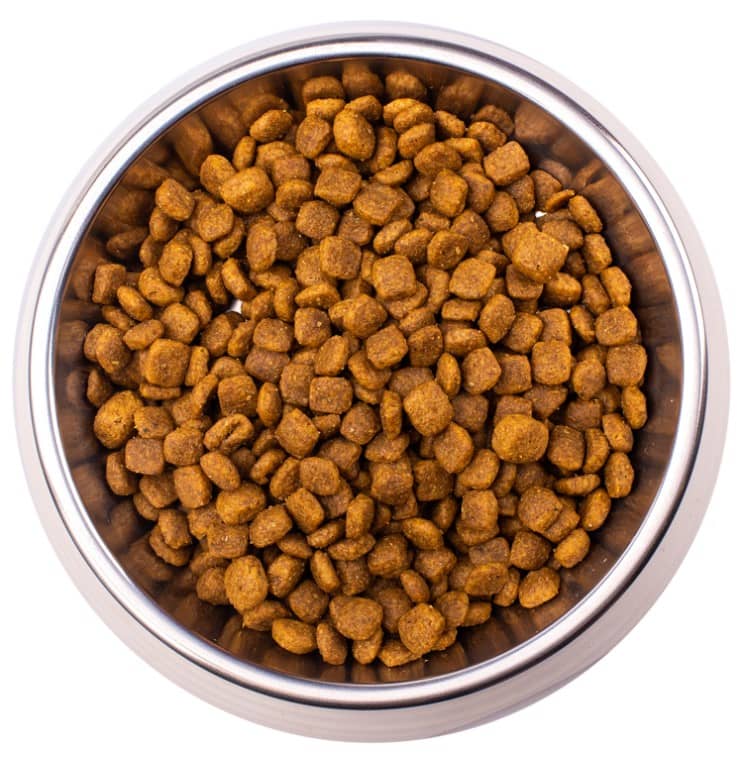 Корм для кошек Monge VetSolution Renal Cat