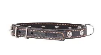 Ошейник с синтепоном и украшением "Collar"