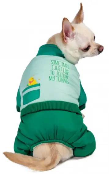 Зимний комбинезон для собак Disney Winnie the Pooh Green