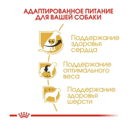 Еда для собак Сухой корм для собак Royal Canin Cavalier King Charles Adult
