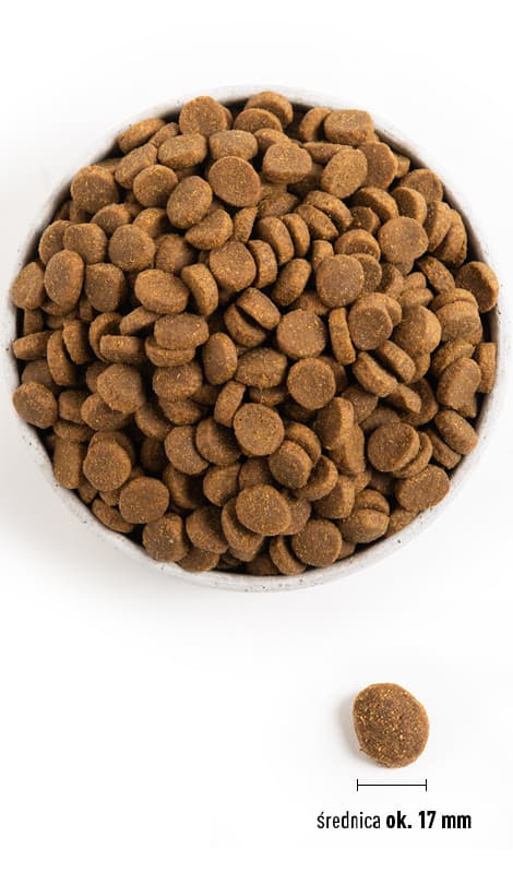 Еда для собак класса холистик Сухой корм для собак ACANA ADULT LARGE BREED DOG