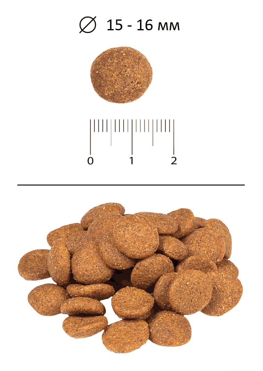 Каталог Сухой корм для щенков крупных пород Blitz Puppy Large & Giant для собак