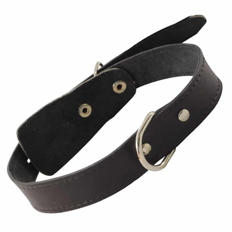 Ошейник кожаный c кольцом 25 мм*580 мм (11232024)