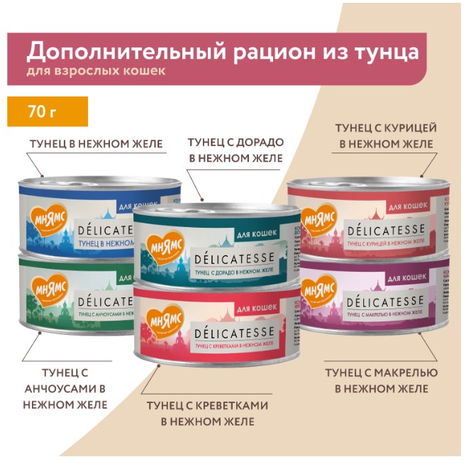 Влажный дополнительный корм Мнямс для кошек Курица с креветками нежном желе