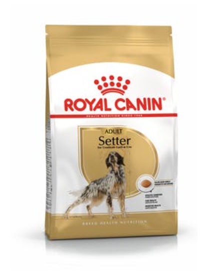 Еда для собак Royal Canin Setter Adult