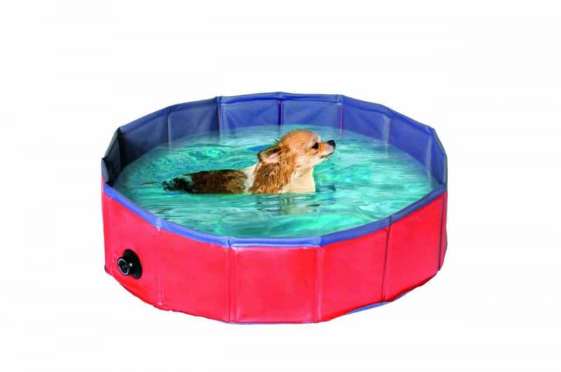 Каталог Бассейн для собак для собак 