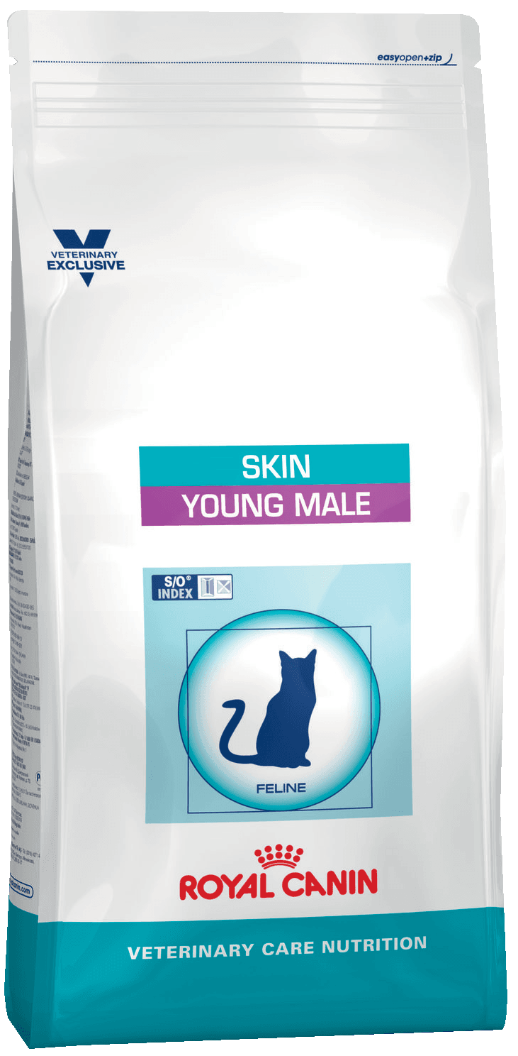 Сухой корм для кошек Royal Canin Skin Young Male
