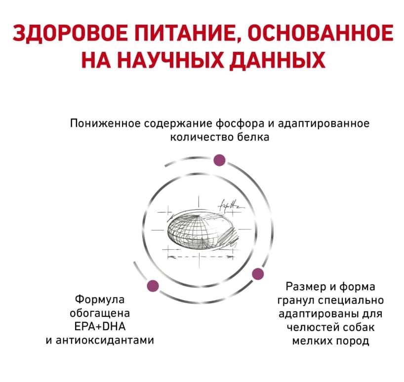 Каталог Сухой корм для собак Royal Canin Renal Small Dog для собак