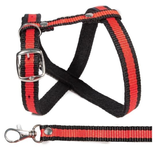 Комплект шлейка и поводок Gamma Прогулка