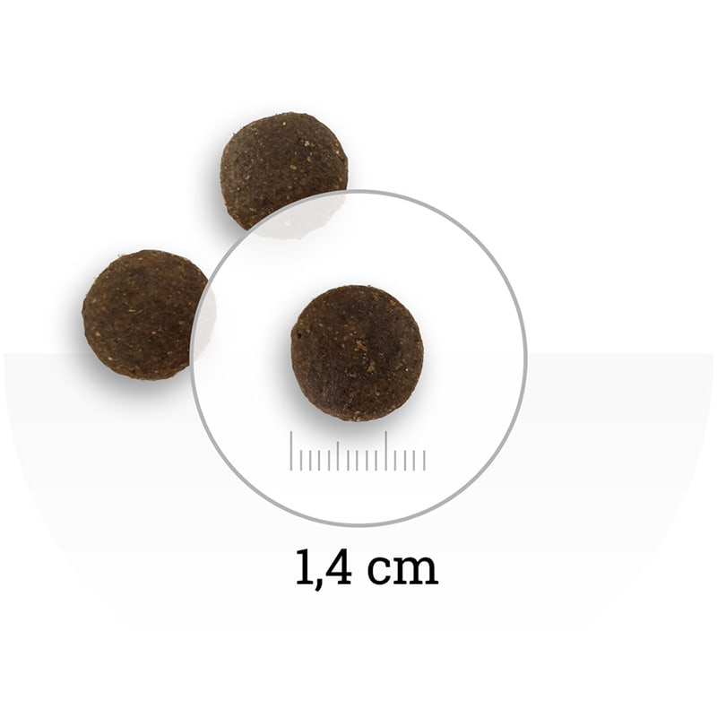 Еда для привередливых собак Сухой корм для собак Natura Wild DOG Ontario Wildland (ягненок, свинина)