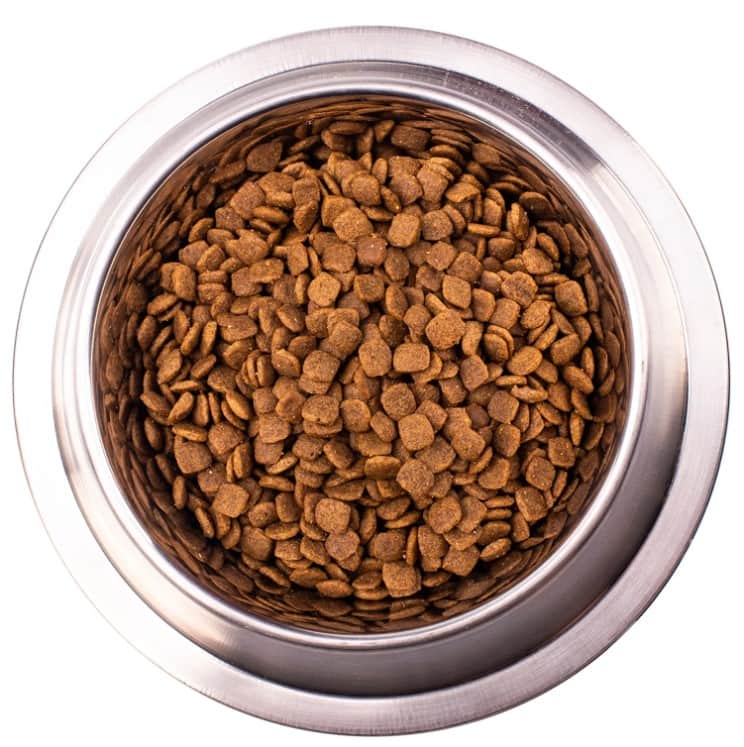 Лечебное питание для щенков Monge VetSolution Gastrointestinal Puppy