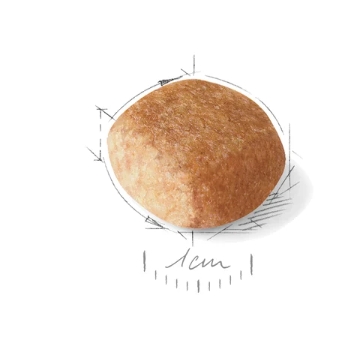 Еда для собак Сухой корм для собак Royal Canin Miniature Schnauzer Adult