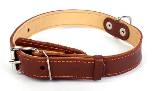 Ошейник для собак двойной "Collar"