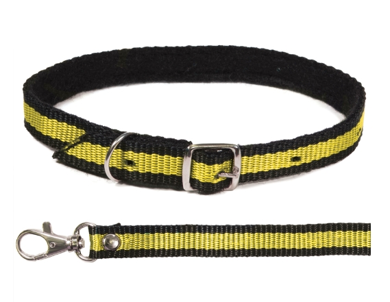 Комплект ошейник и поводок из капрона Gamma