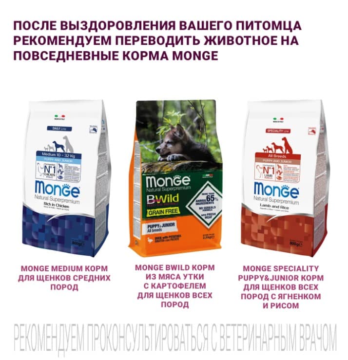 Лечебное питание для щенков Monge VetSolution Gastrointestinal Puppy