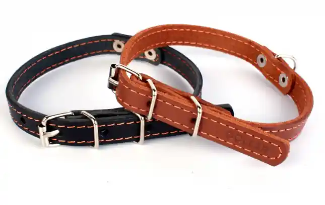 Ошейник для собак "Collar"