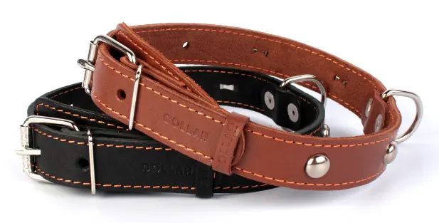 Ошейник одинарный с украшением "Collar"