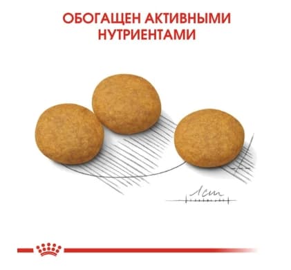 Еда для собак Сухой корм для собак Royal Canin Medium Dermacomfort