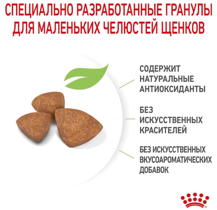 Еда для щенков Сухой корм для щенков Royal Canin X-Small Puppy