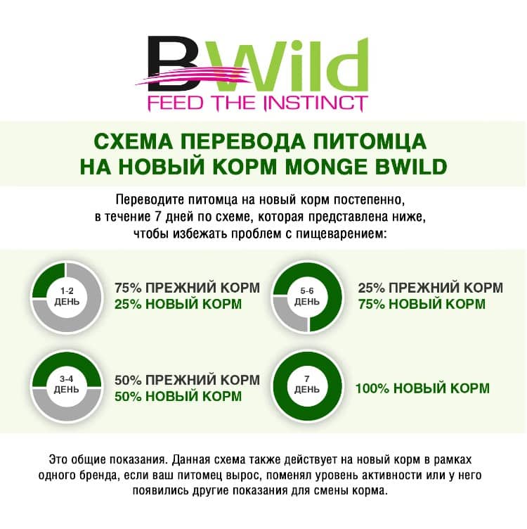 Влажная еда для кошек Monge Cat BWild Grain Free Codfish (лосось, овощи)