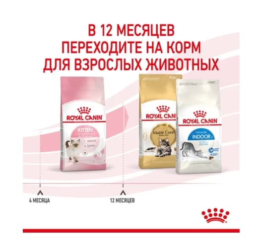 Royal Canin Kitten полнорационный сухой корм для котят и кошек 