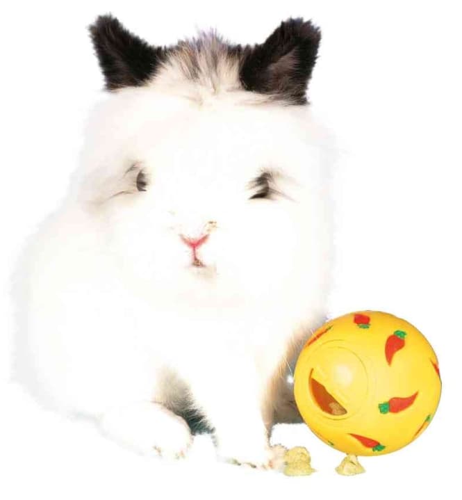 Мяч для грызунов "TRIXIE" (6275)