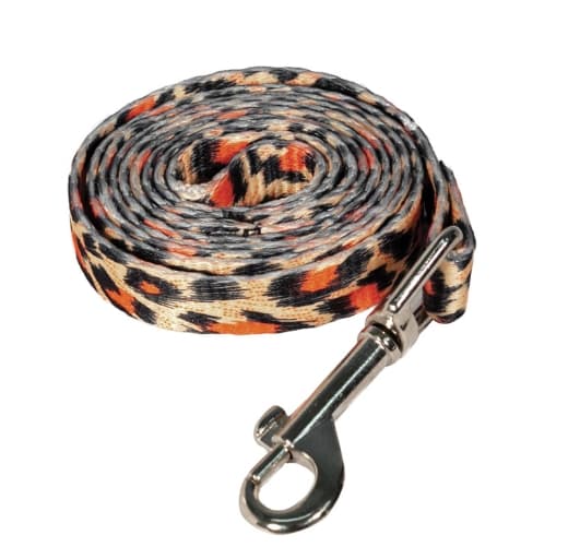 Комплект шлейка и поводок нейлоновый Абстракция