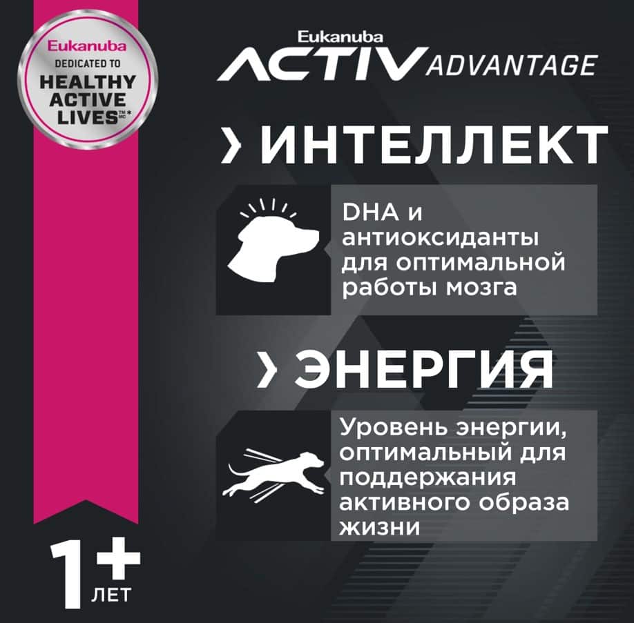 Питание для крупных пород собак Сухой корм для собак Eukanuba Adult Large Breed (птица)