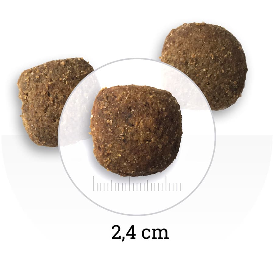 Каталог Сухой корм для собак крупных пород Bon Appetit DOG Adult Maxi (курица, рис) для собак