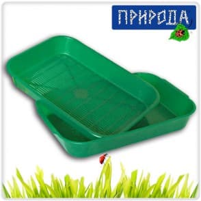 Туалет c сеточкой