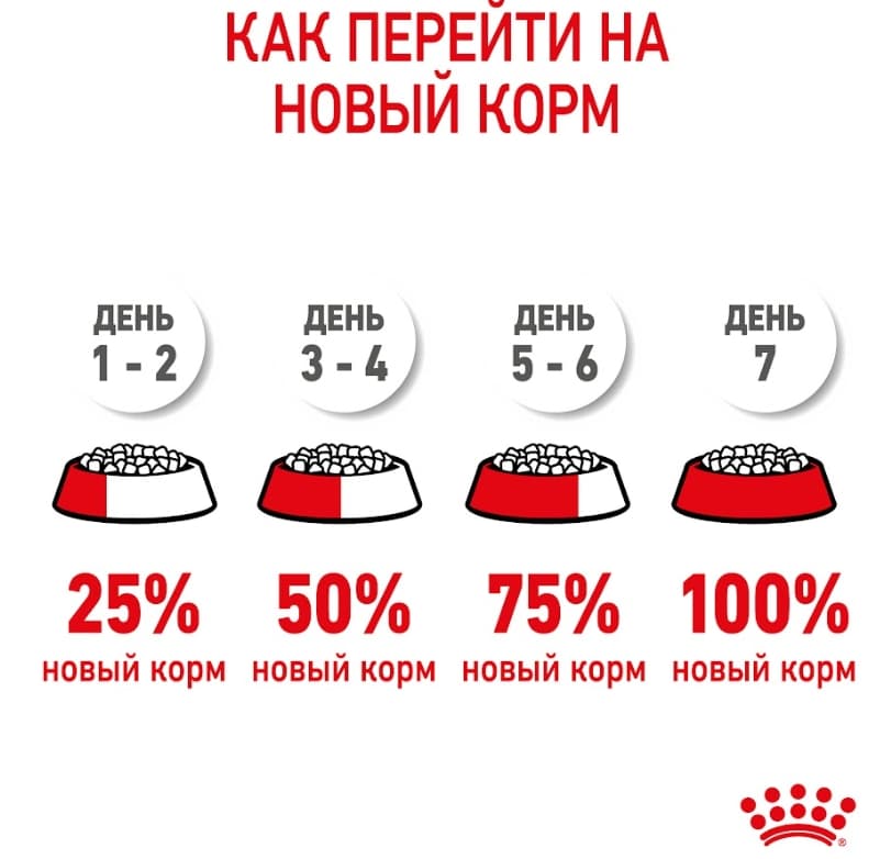 Еда для щенков Сухой корм для щенков Royal Canin Mini Puppy