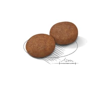 Каталог Сухой корм для собак Royal Canin Medium Adult 7+ для собак