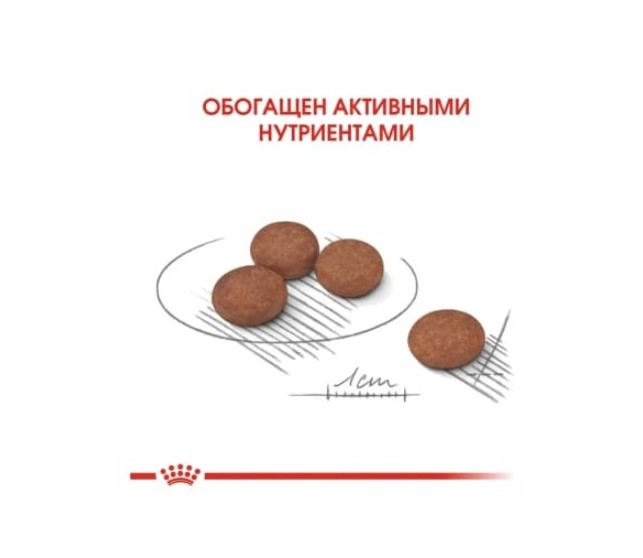 Еда для собак Сухой корм для собак Royal Canin Mini Digestive Care