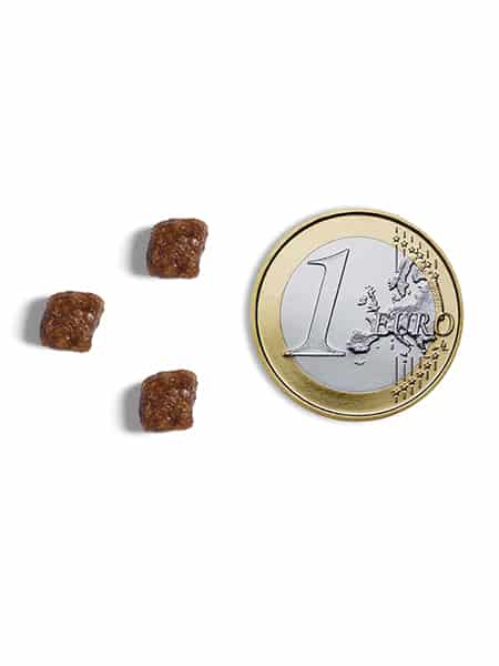 Еда для котят Ambrosia Grain Free Kitten (курица, индейка)