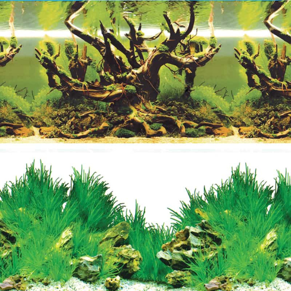 Фон "Таинственный лес/Новое утро" 50х100 см (74064087)