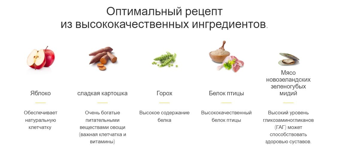 Рацион для собак  Сухой корм для собак Josera Nature Energetic 