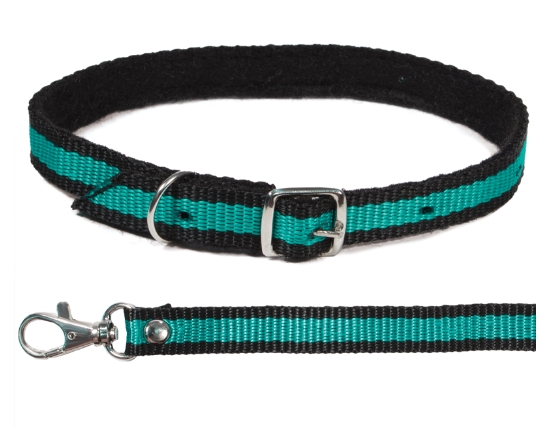 Комплект ошейник и поводок из капрона Gamma